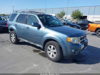  Salvage Ford Escape