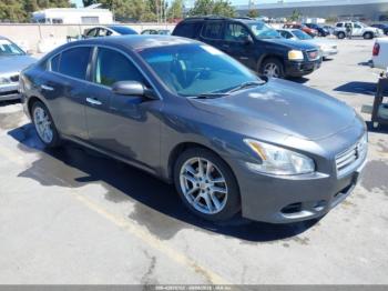  Salvage Nissan Maxima