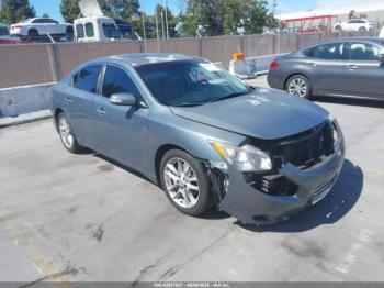  Salvage Nissan Maxima
