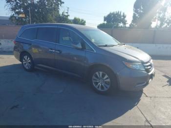  Salvage Honda Odyssey