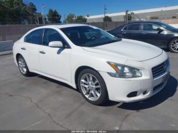  Salvage Nissan Maxima