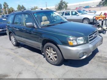  Salvage Subaru Forester