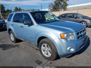  Salvage Ford Escape