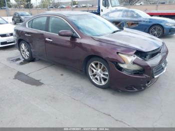  Salvage Nissan Maxima