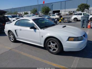  Salvage Ford Mustang