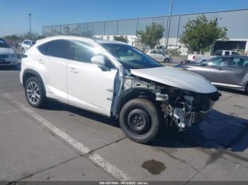  Salvage Lexus NX