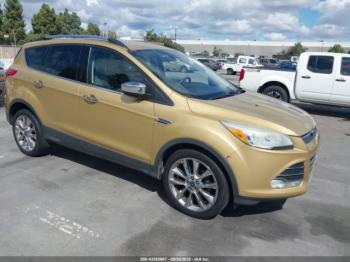  Salvage Ford Escape