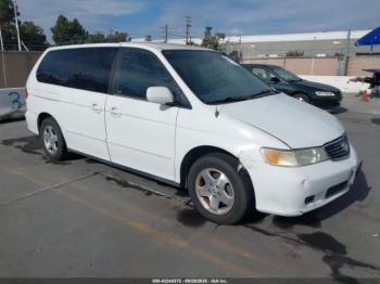  Salvage Honda Odyssey