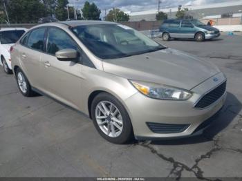  Salvage Ford Focus