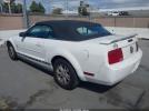 Ford Mustang V6 Image 3