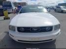 Ford Mustang V6 Image 8