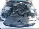 Ford Mustang V6 Image 4