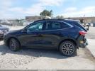 Ford Escape Titanium Plug-in Hybrid Image 12