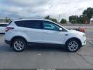 Ford Escape Se Image 4