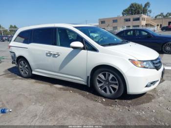  Salvage Honda Odyssey