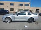 Ford Mustang Image 2