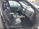 Ford Escape Xlt Image 6