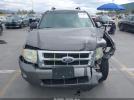 Ford Escape Xlt Image 13
