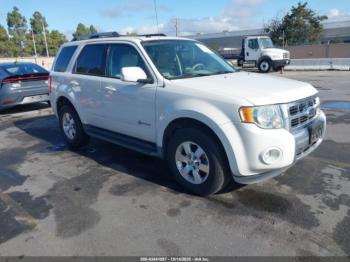  Salvage Ford Escape
