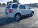 Ford Escape Limited Image 5