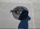 GMC Sierra 1500 4wd  Short Box Sle Image 3