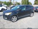 Ford Escape Se Image 9
