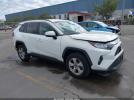 Toyota RAV4 Xle Image 1