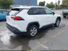 Toyota RAV4 Xle Image 7