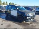 Ford Utility Police Intercepto Image 1