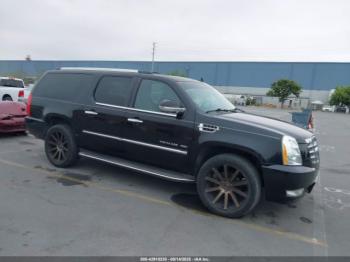  Salvage Cadillac Escalade