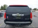 Cadillac Escalade Standard Image 2