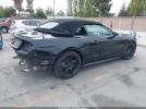 Ford Mustang Gt Premium Image 11