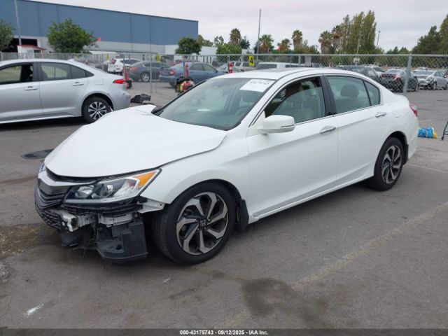 Honda Accord Ex-l V6 Image 11