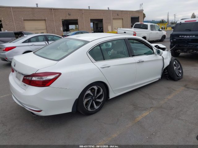 Honda Accord Ex-l V6 Image 12