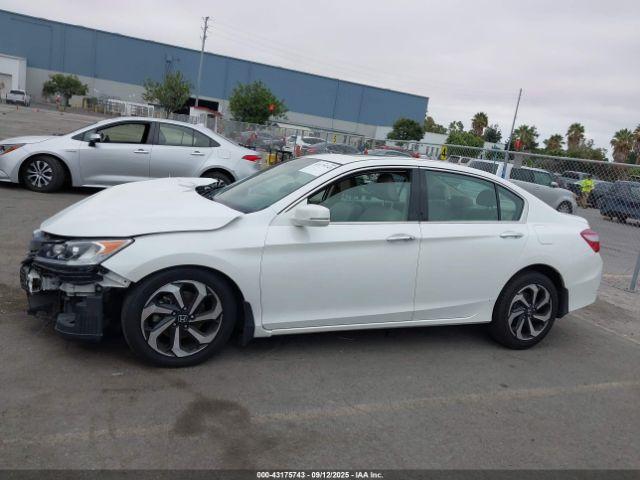 Honda Accord Ex-l V6 Image 4