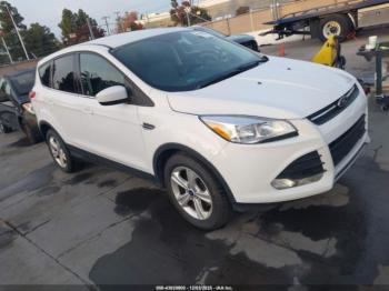  Salvage Ford Escape