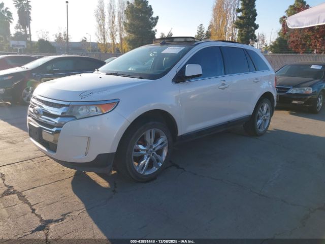 Ford Edge Limited Image 4