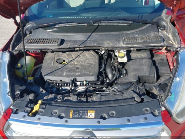 Ford Escape Titanium Image 8