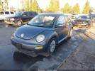 Volkswagen Beetle Gl Image 8