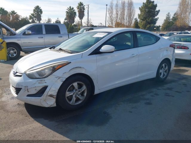 Hyundai ELANTRA Se Image 14