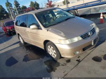  Salvage Honda Odyssey