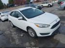 Ford Focus Se Image 1