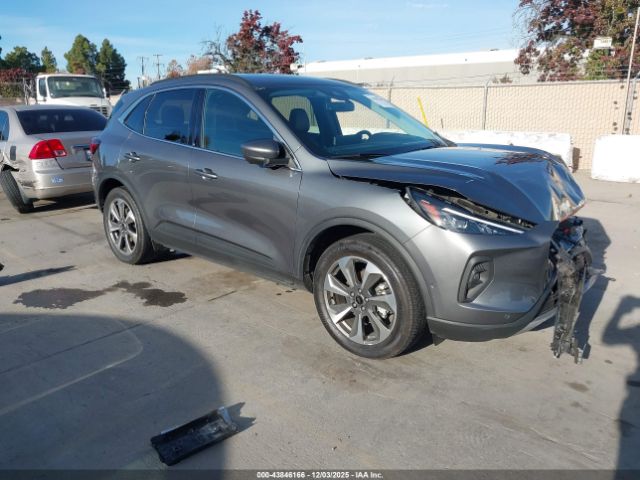 Ford Escape Platinum Image 1