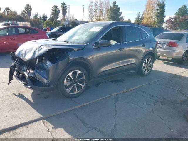 Ford Escape Platinum Image 4