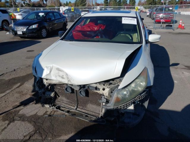 Honda Accord 3.5 Ex-l Image 6