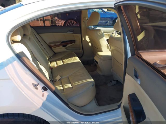 Honda Accord 3.5 Ex-l Image 7