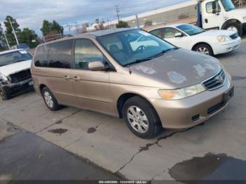  Salvage Honda Odyssey