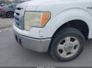 Ford F-150 Image 3