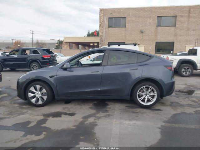 Tesla Model Y Image 15