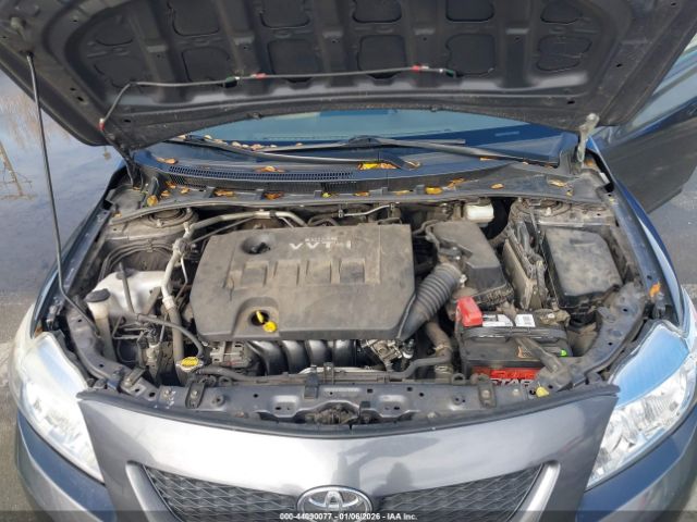 Toyota Corolla Le Image 9